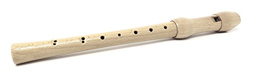 Recorder - childrens musical instrument Recorder - childrens musical instrument
