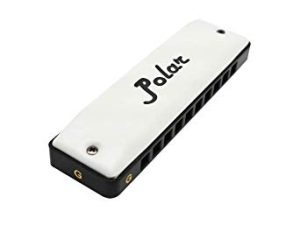Harmo Polar Harmonica – Key of C – 10 Holes – Professional Blues Mouth Organ Harmonica for Beginners