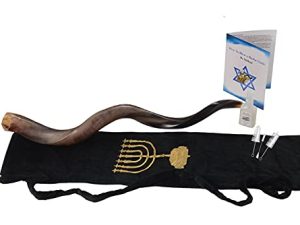 Yaliland Shofar Horn Musical Instrument - Authentic Kosher Kudu Ram Horns from Israel - Includes Bag