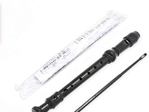 Descant Recorder 8-Hole Soprano Kids Music Flute With Cleaning Rod And Case Bag For School Student (Black)