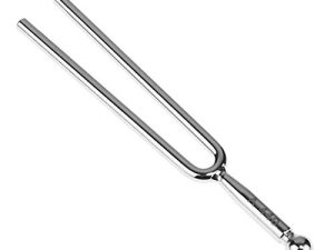 Tuning Fork