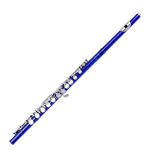 Yamaer C Flute Closed Hole 16-Key Flute for Beginner Kids Student Flute Instrument with a Carrying Case Yamaer C Flute Closed Hole 16-Key Flute for Beginner Kids Student Flute Instrument with a Carrying Case