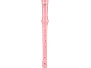 Dioche Plastic Recorder