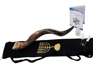 Yaliland Shofar Horn Musical Instrument - Authentic Kosher Kudu Horns from Israel - Includes Bag