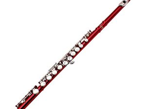 Yamaer C Flute Closed Hole 16-Key Flute for Beginner Kids Student Flute Instrument with a Carrying Case