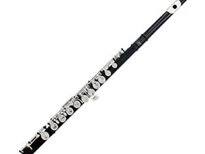 Yamaer C Flute Closed Hole 16-Key Flute for Beginner Kids Student Flute Instrument with a Carrying Case