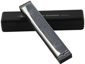 Swan 24 Holes Blues Jazz Music Key B Tremolo Harmonica Harp Musical Instrument