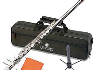 Cecilio Closed Hole C Flute - Musical Instrument