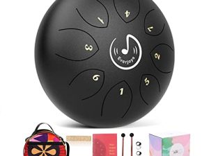 Steel Tongue Drum