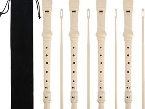 Pangda 4 Pack Descant Soprano Recorder German Style 8 Hole with Cleaning Rod