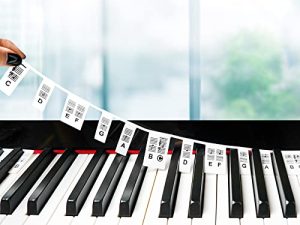 Piano Keyboard Stickers for Beginners Kids Removable