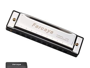 Farcaya Harmonica for Kids Students Beginners Adults Blues Harp Diatonic C Key 10 Holes 20 Tones Metal Mouth Organ with Hard Case and Cleaning Cloth (Silver)