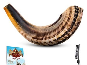 Shofar Horn Instrument – RAM Shofar Angels Musical Instrument – Horn Gift from Israel – Kosher Jewish and Evangelical Shofar – Traditional Holy Instrument for Religious Ceremonies (14"-16")