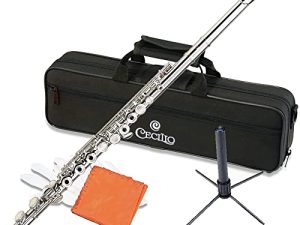 ﻿Cecilio Open Hole C Flute - Musical Instrument