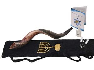 Yaliland Shofar Horn Musical Instrument - Kosher Kudu Ram Horns from Israel - Includes Bag
