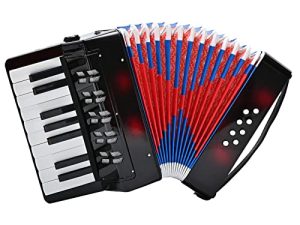 Accordion 17 Keys Piano Accordian