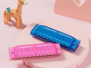 EAST TOP Harmonica set of 2