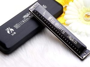 Best Harmonica C Key 24 Holes Major Diatonic Double Tremolo Beginner Harmonicas for Sale Musical Instrument Accessories Black with Case