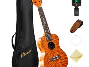 Ukulele Solid Top Concert 23 Inch Acacia Ukelale for Beginners
