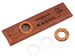 Kazoo Instrument