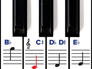 Piano Stickers for Keys – Removable w/Double Layer Coating for 49/61 / 76/88 Keyboards