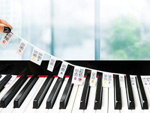Piano Keyboard Stickers for Beginners Kids Removable
