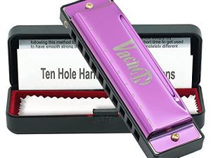 VACHAN Blues Harmonica Mouth Organ 10 Holes 20 Tones C Key Beginner Harmonica with Case for Kids