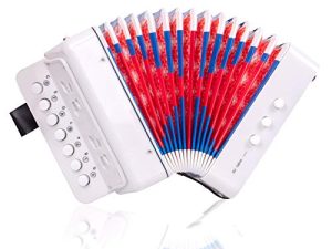 Button Accordion