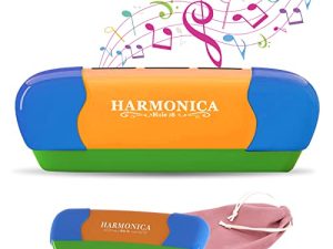 Harmonica Key of C 16 Hole Blues Mouth Organ for Kids Early Education
