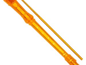 Ravel Recorder
