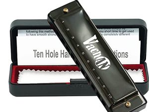VACHAN Blues Harmonica Mouth Organ 10 Holes 20 Tones C Key Beginner Harmonica with Case for Kids