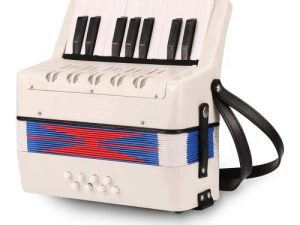 Accordion 17 Key