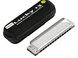 East top Lucky 13 Bass Plus Blues Harmonica 13 Holes Diatonic Harp Mouth Organ Professional Musical Instruments PaddyRichter D Key harmonica for Adults
