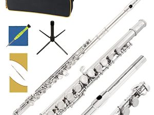 Yasisid C Flute Closed Hole 16-Key Flute for Beginner Kids Student Flute Instrument with a Carrying Case