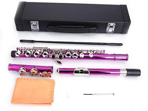 Ktaxon C Closed Hole Flute 16 Keys Flutes Kit for Students