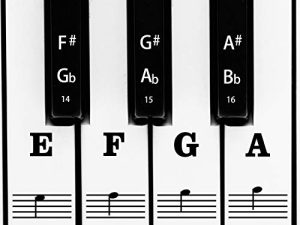 AIEX Piano Keyboard Music Note Full Set Stickers Removable & Transparent for White & Black 88/61/54/49 Keys