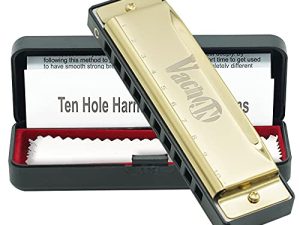 VACHAN Blues Harmonica Mouth Organ 10 Holes 20 Tones C Key Beginner Harmonica with Case for Kids