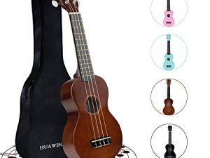 HUAWIND 21 Inch Soprano Ukulele for Beginners