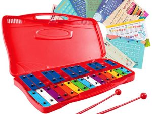 Costzon 25-Note Xylophone w/Case