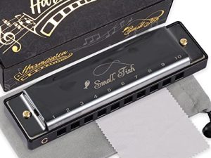 Harmonica for Kids and Adults
