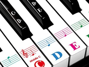 Piano Stickers for Beginners 88/76/61/54/49/37 Keys - Transparent
