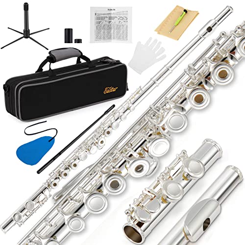 Eastar C Flutes Open Hole 16 Keys Flute for Beginner Kids Student Flute Instrument with Fingering Chart Eastar C Flutes Open Hole 16 Keys Flute for Beginner Kids Student Flute Instrument with Fingering Chart