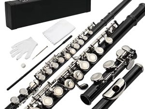 Ktaxon C Closed Hole Flute 16 Keys Flutes Kit for Students