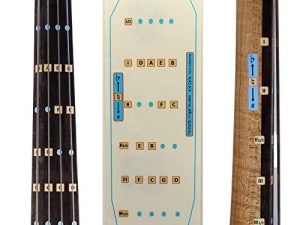 Fantastic Finger Guide for Cellos | Stringed Musical Instruments | Fingerboard and Fretboard Stickers for Learning All Notes | Kids/Adult Beginner Cello Finger Guide | 4/4 Size