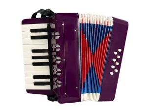 BORIYAM Children's Accordion Instrument 17-key 8-Bass