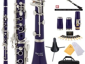 Mendini by Cecilio B Flat Beginner Clarinet with 2 Barrels