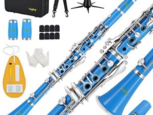 VANPHY Bb Clarinet for Student Beginner