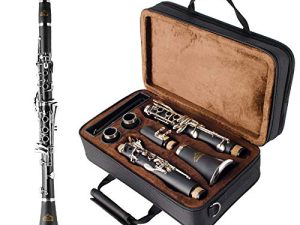 EASTROCK Bb Clarinet 17Nickel Keys ABS Material Wide Range of Tones Particularly Beginner & Students-friendly with Using Tools and Two Replaceable Barrels