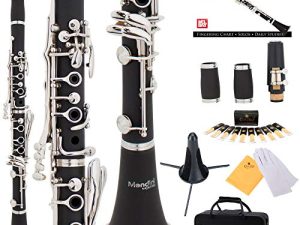 Mendini by Cecilio B Flat Beginner Clarinet with 2 Barrels