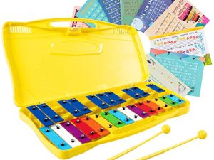 Costzon 25-Note Xylophone w/Case